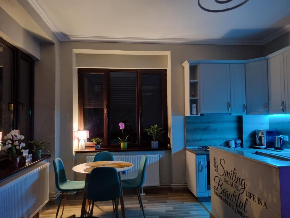 City Center Dream Apartment Timisoara Ngoại thất bức ảnh