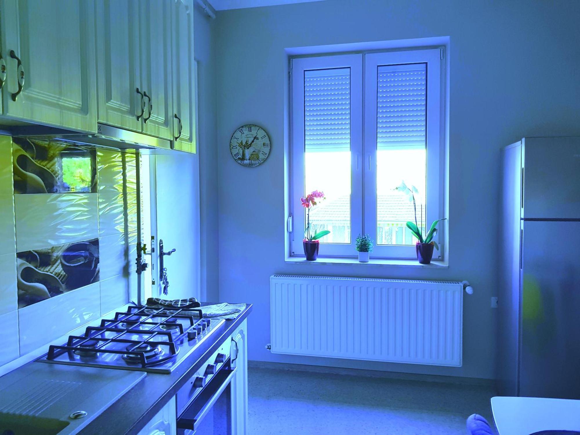 City Center Dream Apartment Timisoara Ngoại thất bức ảnh